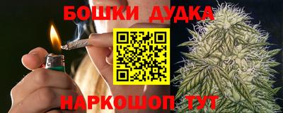 дмт Кингисепп
