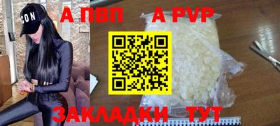 дмт Кингисепп