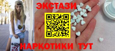 дмт Кингисепп