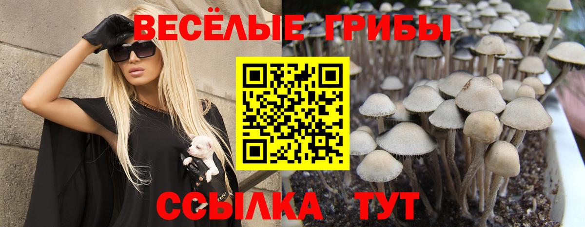 Псилоцибиновые грибы ЛСД  Вход с VPN  купить  сайты  Каменск-Уральский 